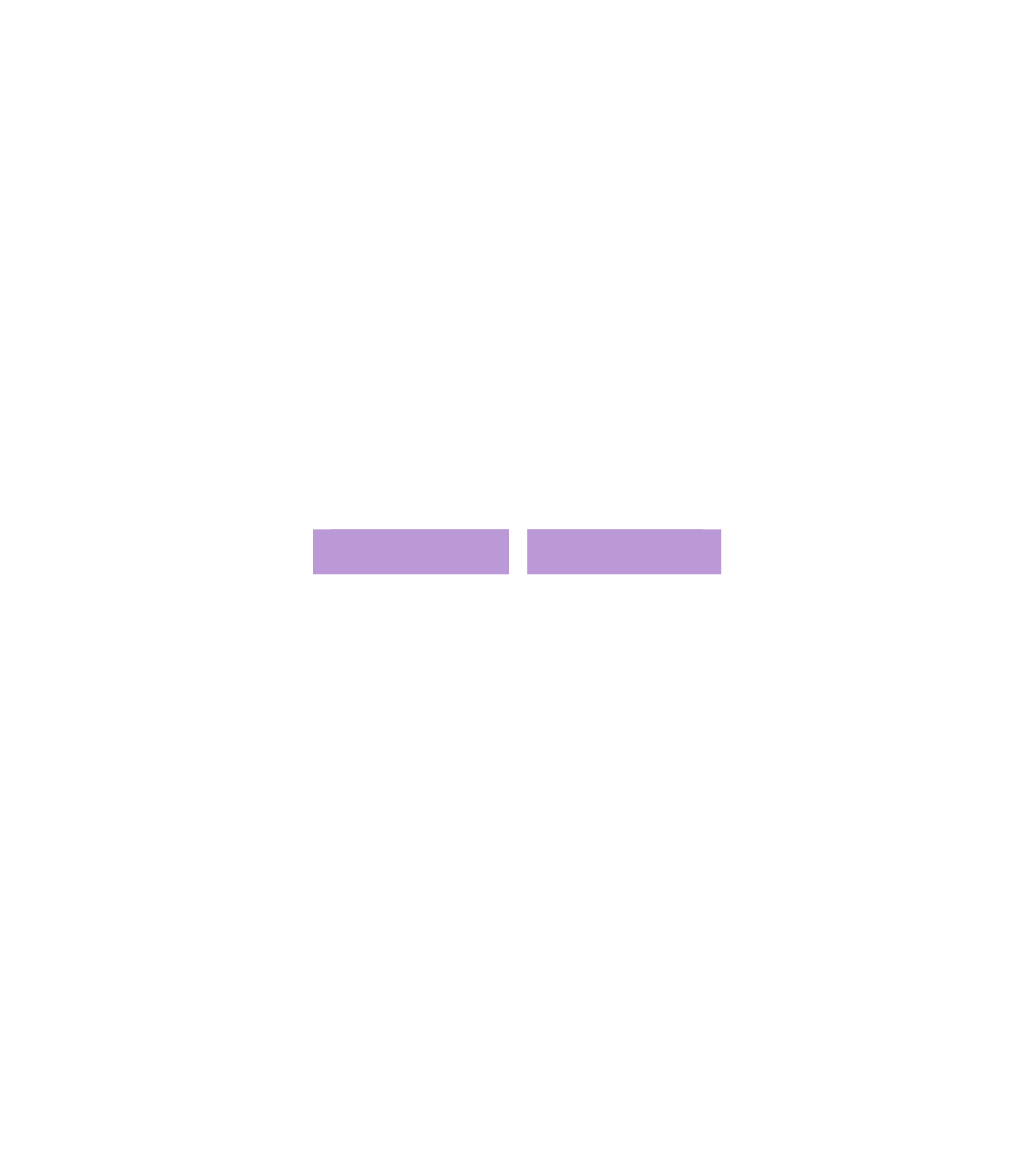RUDA Consultora